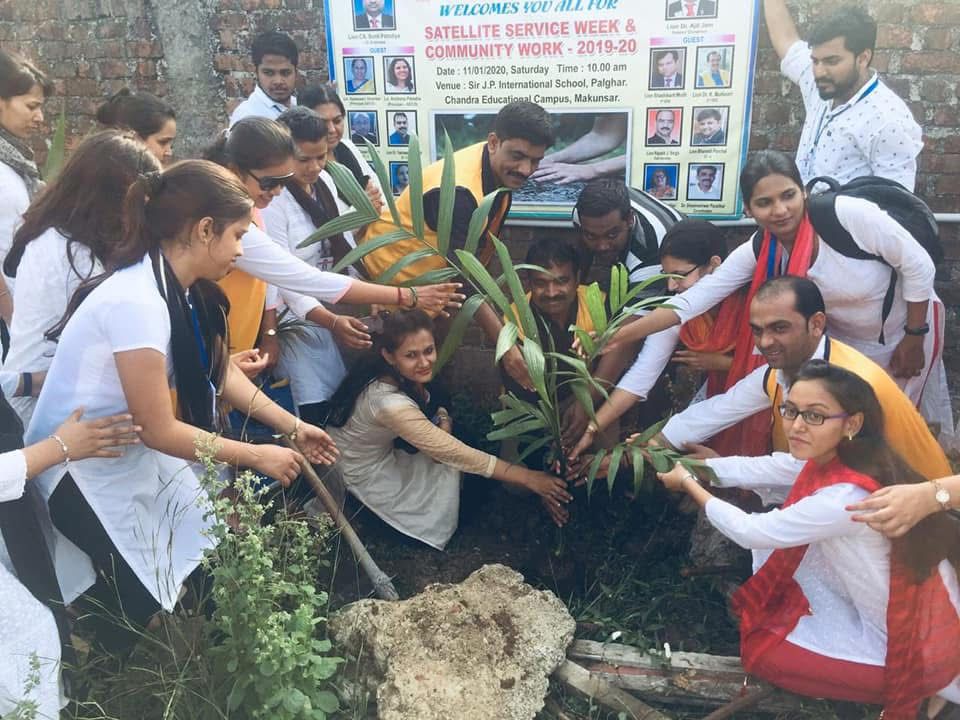 tree plantatiom
